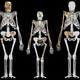 Image for article titled If We Cloned Early Humans, Should We Put Them in a Zoo or a School?